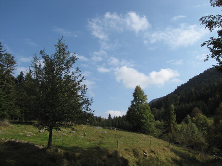 20080926 155710